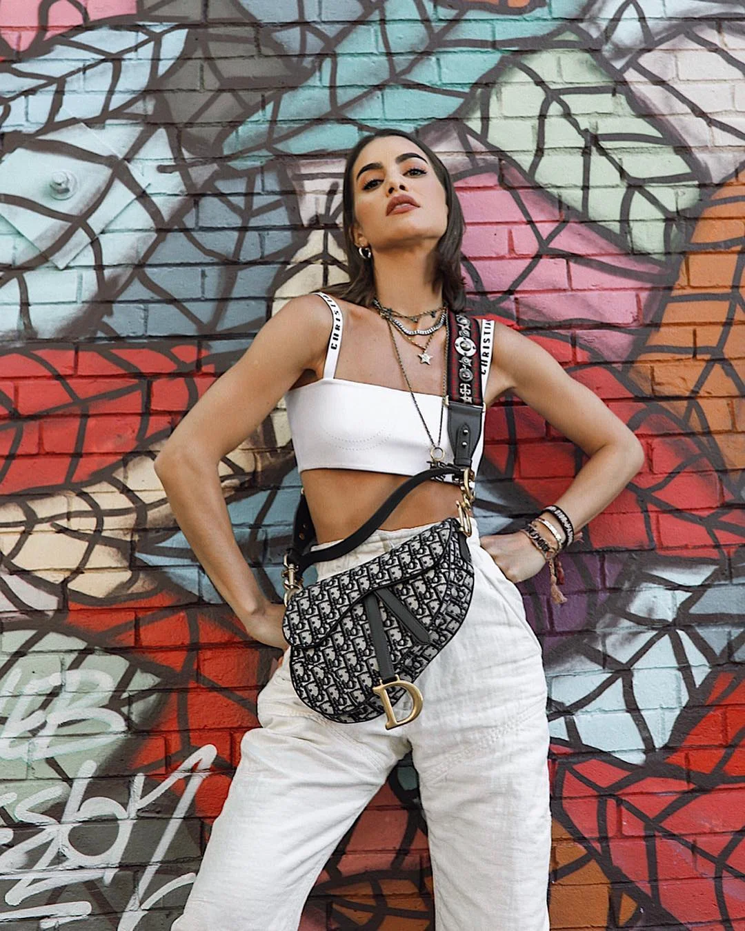 Did you pick up the iconic Dior Saddle Bag this season DSTNGR